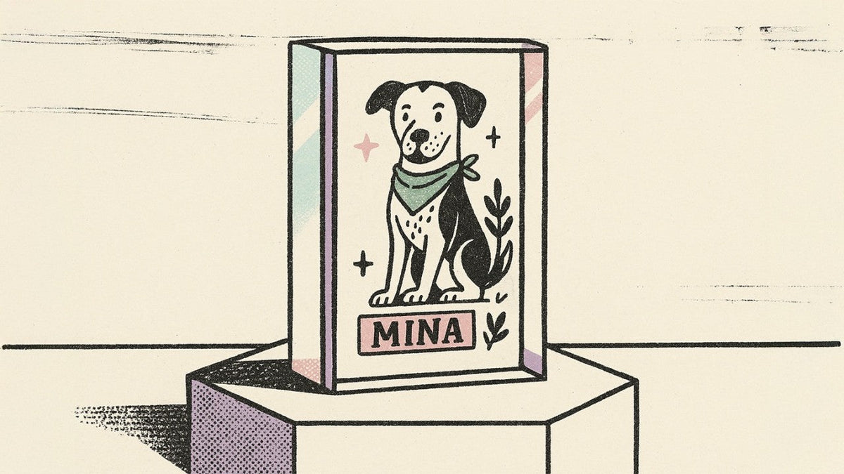 How I Turned an Idea Into Magic Pet Portraits