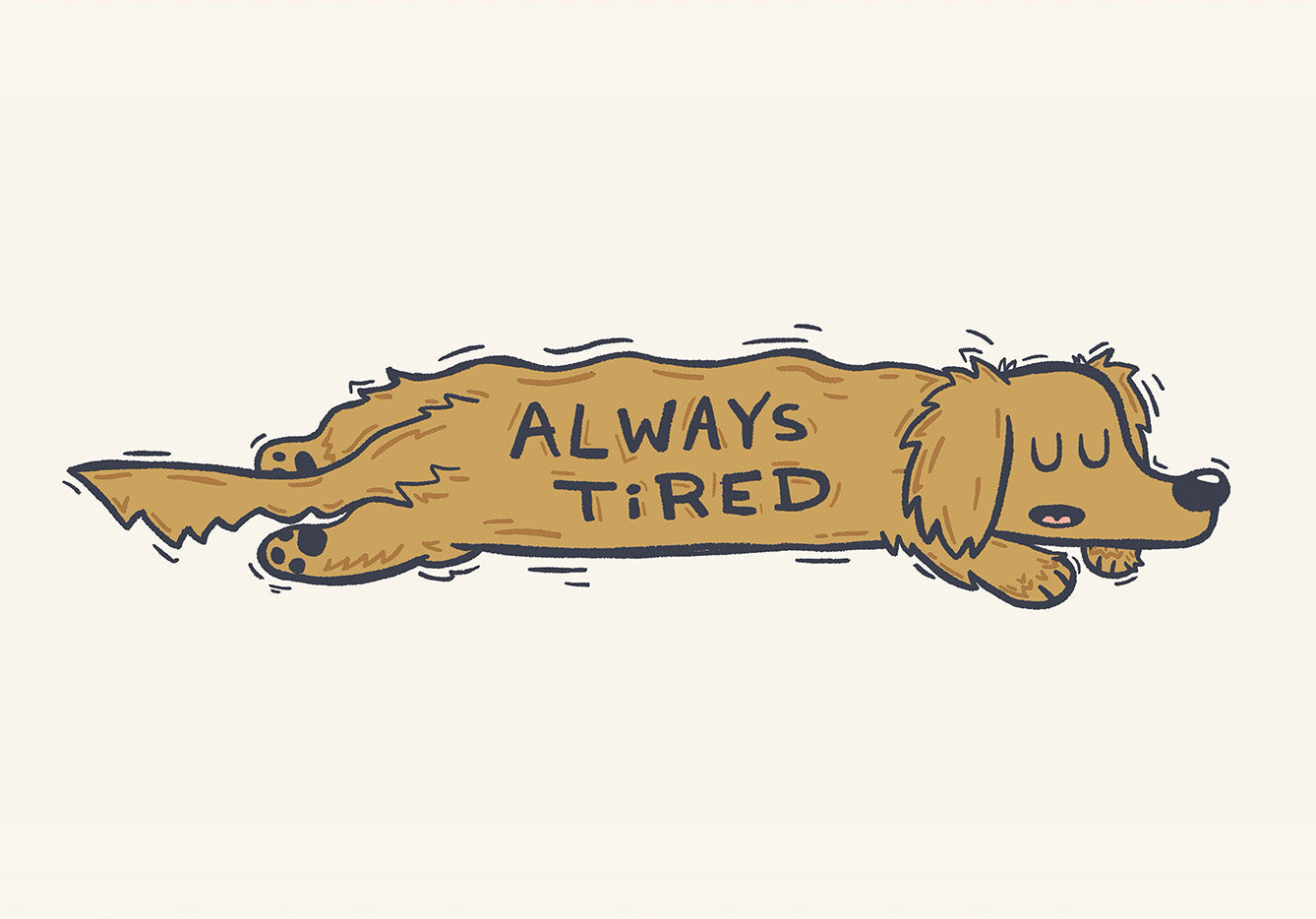 A Decade of Trying — On pet portraits, creative obsession, and not stopping.