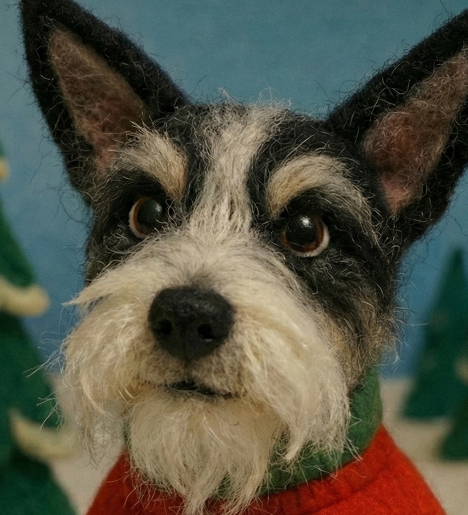 Classic Holiday Pet Portraits (Digital + Optional Keepsakes)